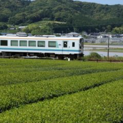 静岡県おすすめキャンプ場！【磐田・袋井・掛川エリア】