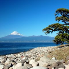 静岡県おすすめキャンプ場！【伊豆エリア】