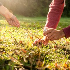 ガイロープの使い方と利便性（ガイロープと自在金具の利便性）