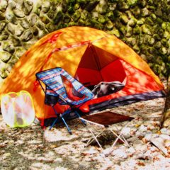 Amazonでそろえる格安ソロキャンプグッズ