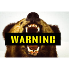 【注意喚起】出会ったら危険！？キャンプで遭遇する危険生物と対処法【アウトドア】