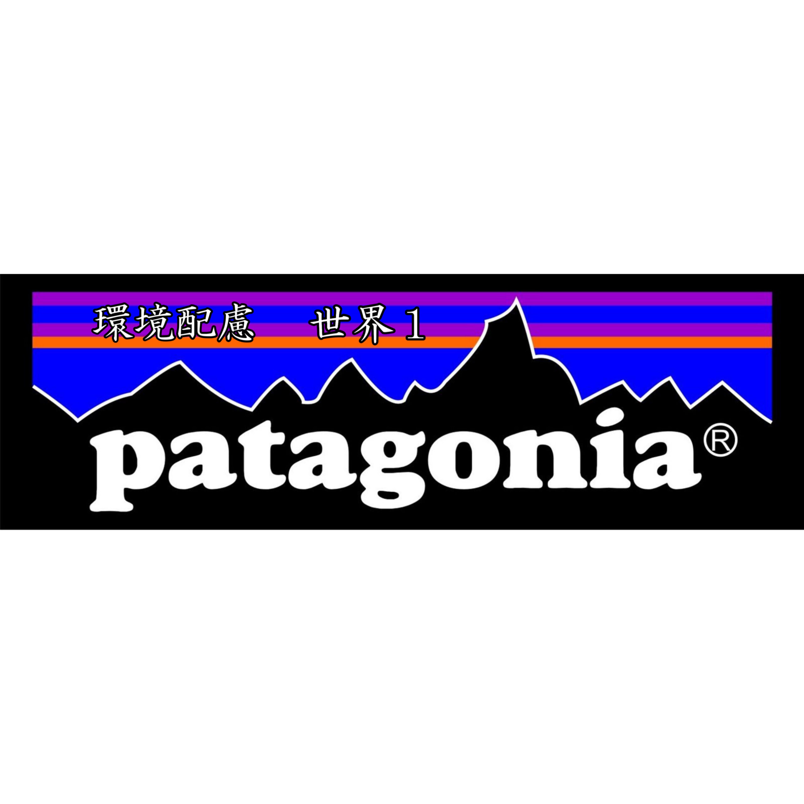 【SDGs】環境配慮ブランド世界最前線！『Patagonia』の環境への取り組み！（前編）【脱炭素】 | 日本生まれの最高品質アウトドア ...